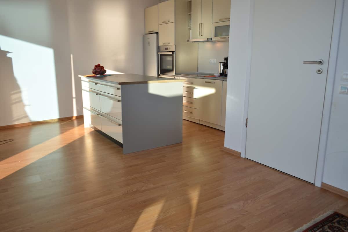 Family Apartment (Family Apartment Superior) | Private kitchen | Fridge, microwave, stovetop, coffee/tea maker