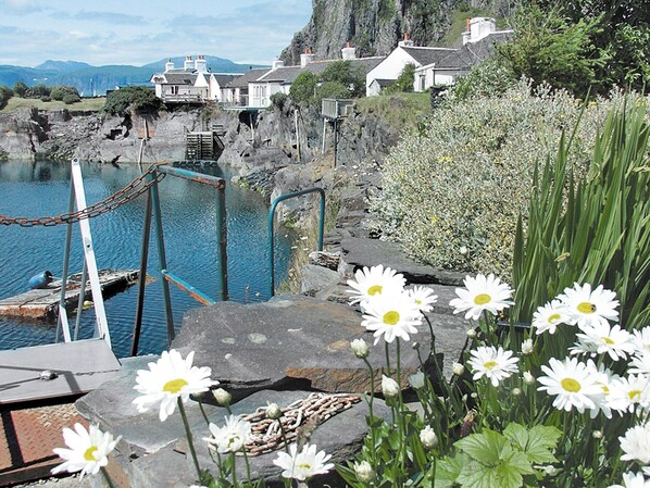 A coastal area with a rocky pier, a chain-link fence, and white flowers in the foreground. - Old Brewery Cottage - S4576 (Ellenabeich, Seil Island)