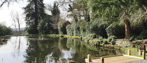 View from Rosecraddoc Manor | Nr. Liskeard