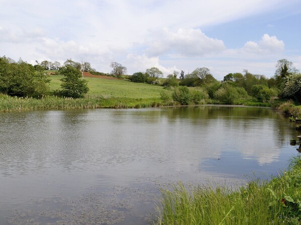 A calm pond surrounded by lush greenery and trees.