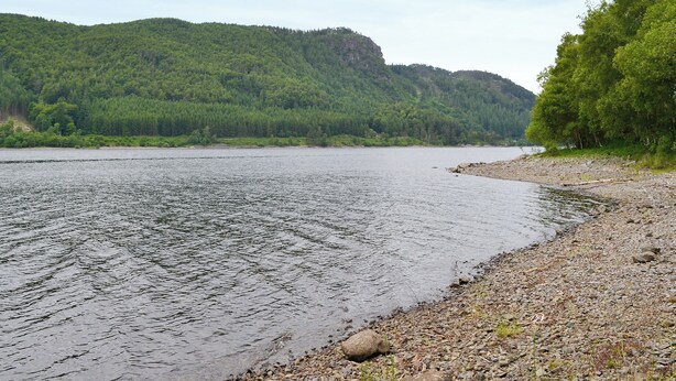 A river with a rocky shore and dense forested hills in the background.