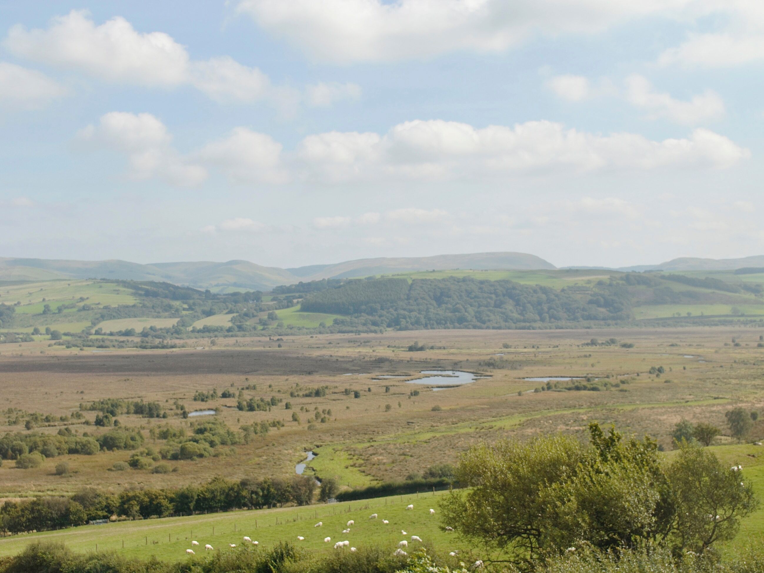 A panoramic view of a rural landscape with rolling hills, a river, and scattered sheep grazing.