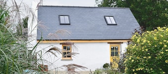 1 slaapkamer accommodatie in Llandovery