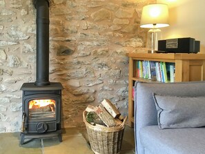 A stone wall, a wood-burning stove, a bookshelf, and a grey sofa.