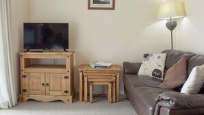 TV - 2 bedroom accommodation in Bowness-on-Windermere (Bowness-on-Windermere)