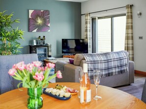 تلفزيون