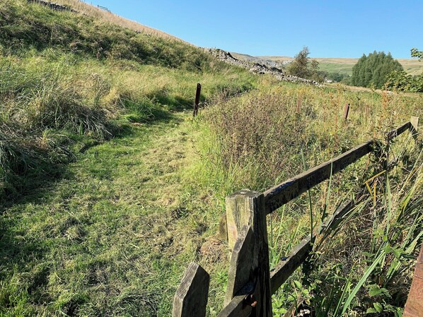 Terrain de l’hébergement 
