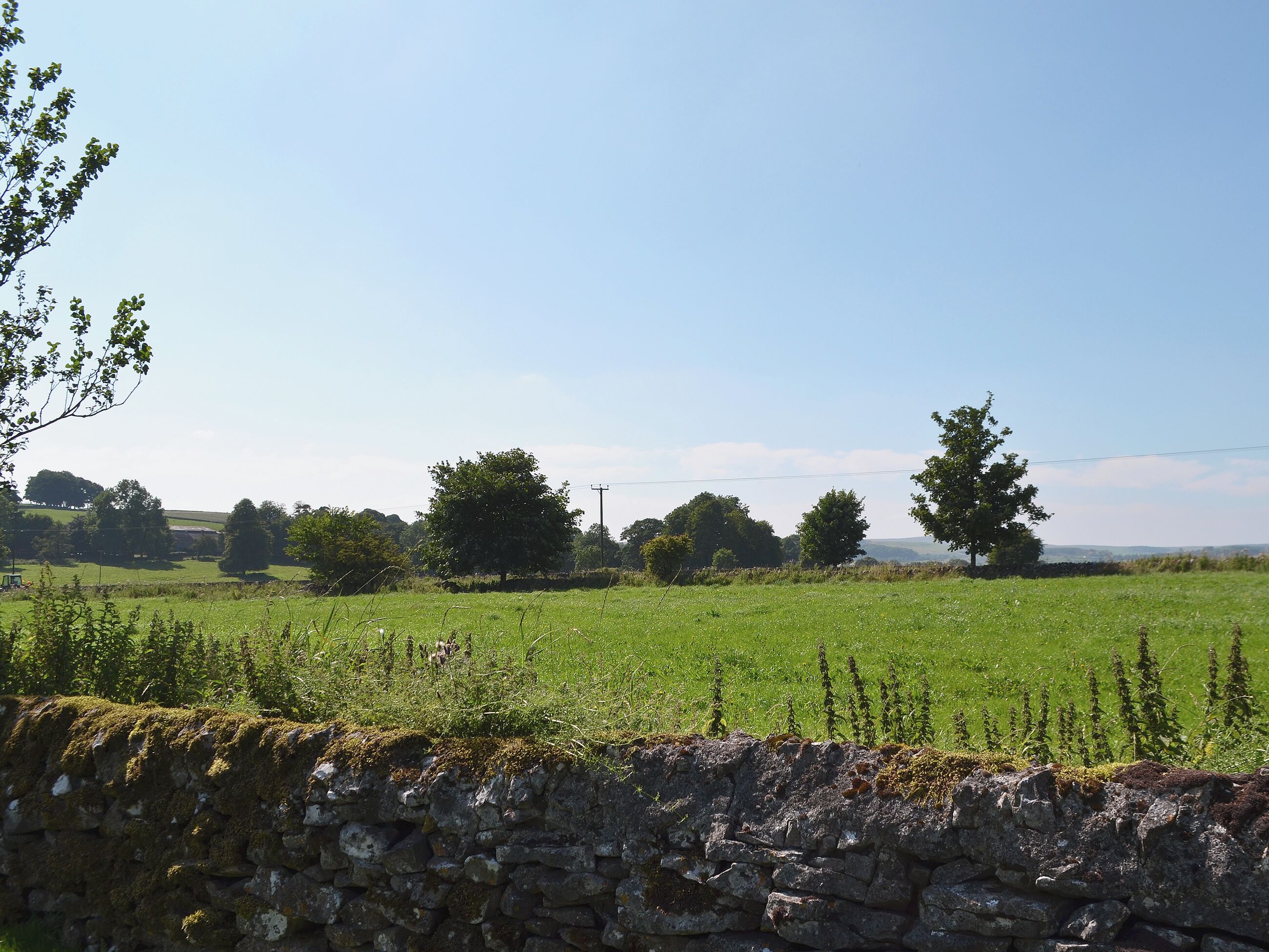 A stone wall with a grassy field and trees in the background.