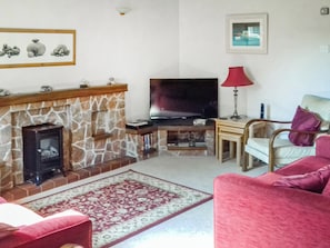 TV - 2 bedroom accommodation in Buckfastleigh (Buckfastleigh)