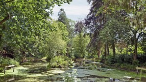A serene pond surrounded by lush greenery and trees.
