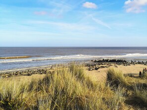 Fishing - 1 bedroom accommodation in Freethorpe (Freethorpe)