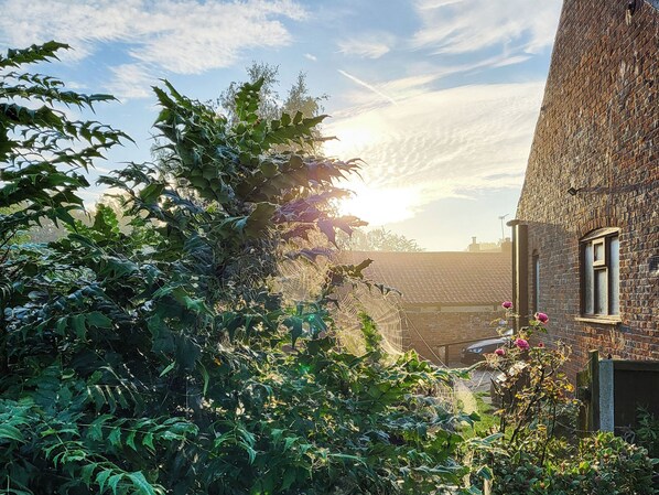 Overnatningsstedets område