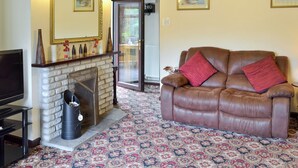 A living room with a leather sofa, a fireplace, a TV, and patterned carpet. - 2 bedroom accommodation in Carn Brea, Redruth (Carn Brea, Redruth)