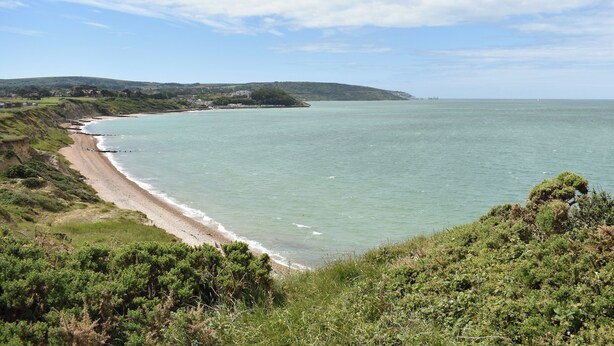 A coastal landscape with a beach, greenery, and a clear sky. - 2 bedroom accommodation in Freshwater (Freshwater)