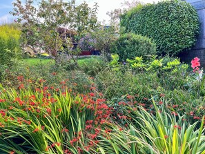 A garden with various plants and flowers, including red flowers and green foliage. - 2 bedroom accommodation in Keswick (Keswick)