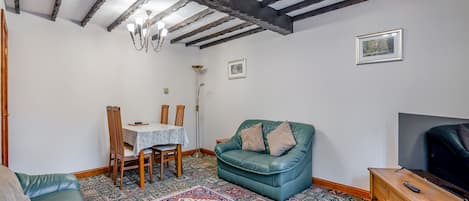 Een gezellige woonkamer met een groene bank, een blauwe fauteuil, een houten salontafel, een tv-meubel en een kamerbreed tapijt met een patroon.