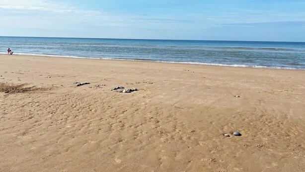 En sandstrand med fotspår och spridda stenar som leder ner till stilla vatten.