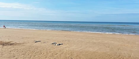 Playa