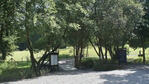 Un sendero de grava que conduce a un parque con árboles y un cartel.
