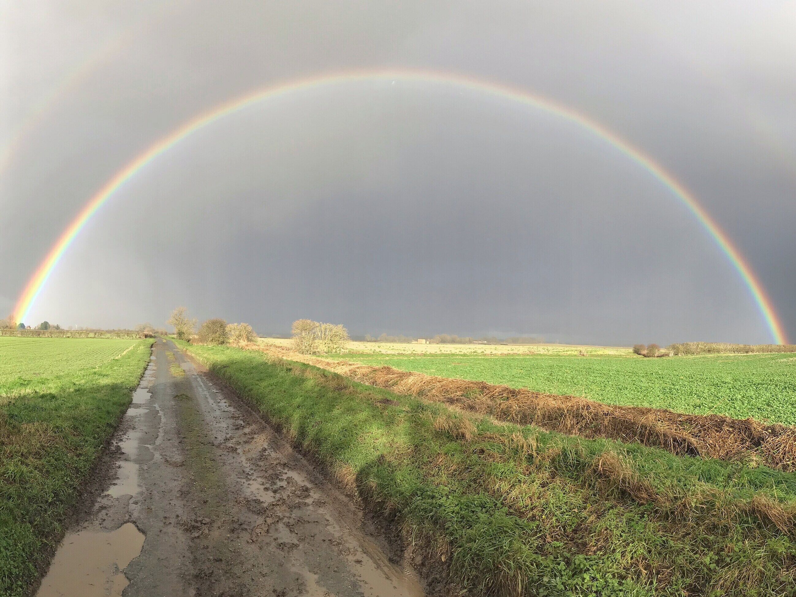 A rural road with a rainbow arching over it.
