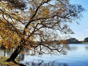 Miscellaneous - 2 bedroom accommodation in Cumwhinton, near Carlisle (Cumwhinton, near Carlisle)