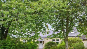 A residential property with a well-maintained lawn, mature trees, and a house with a sloped roof.