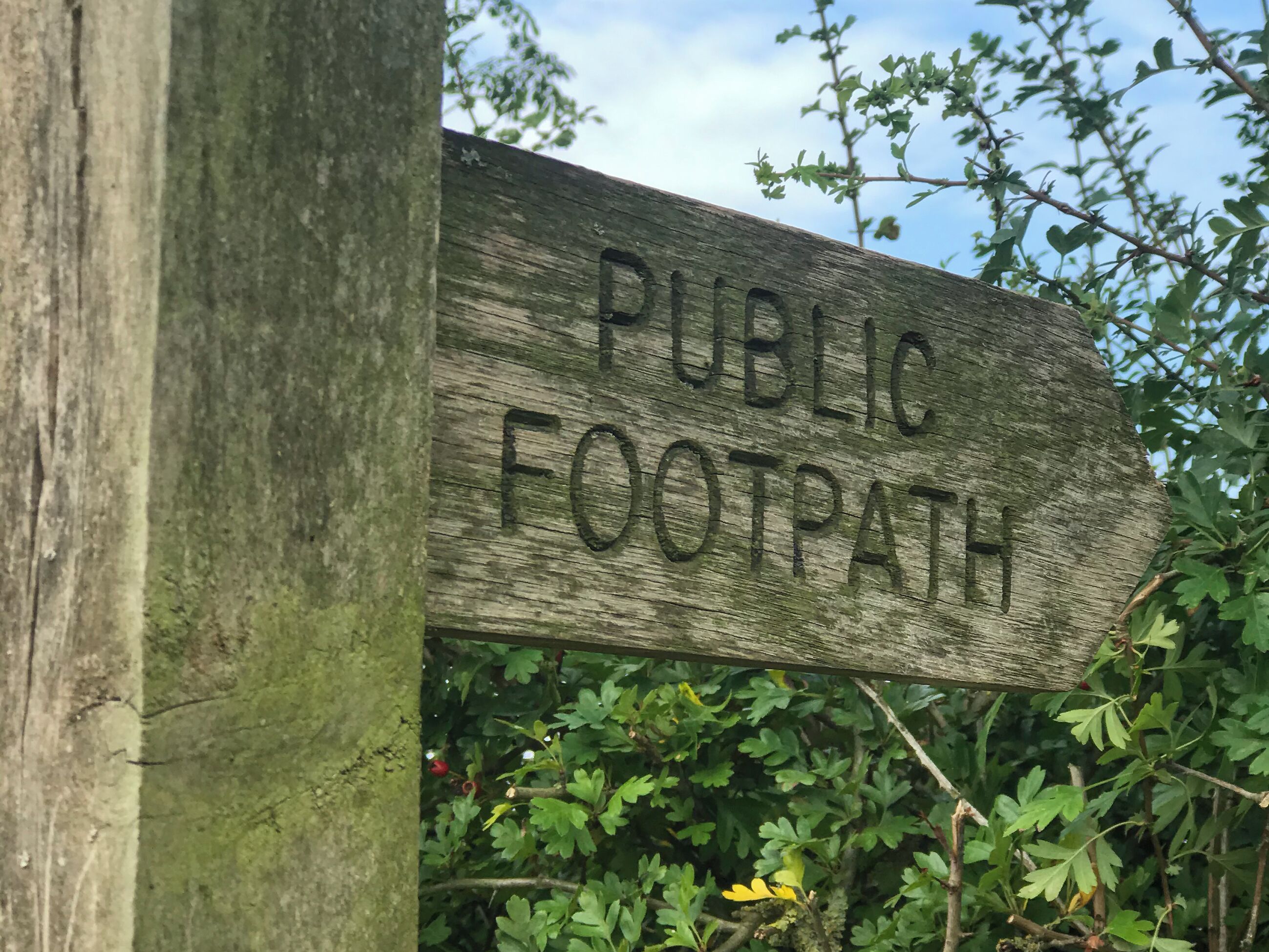 Un panneau en bois portant l’inscription « SENTIER PUBLIC » indiquant une zone réservée aux piétons.