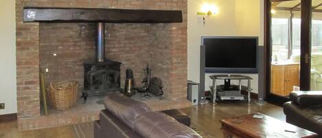 TV, fireplace