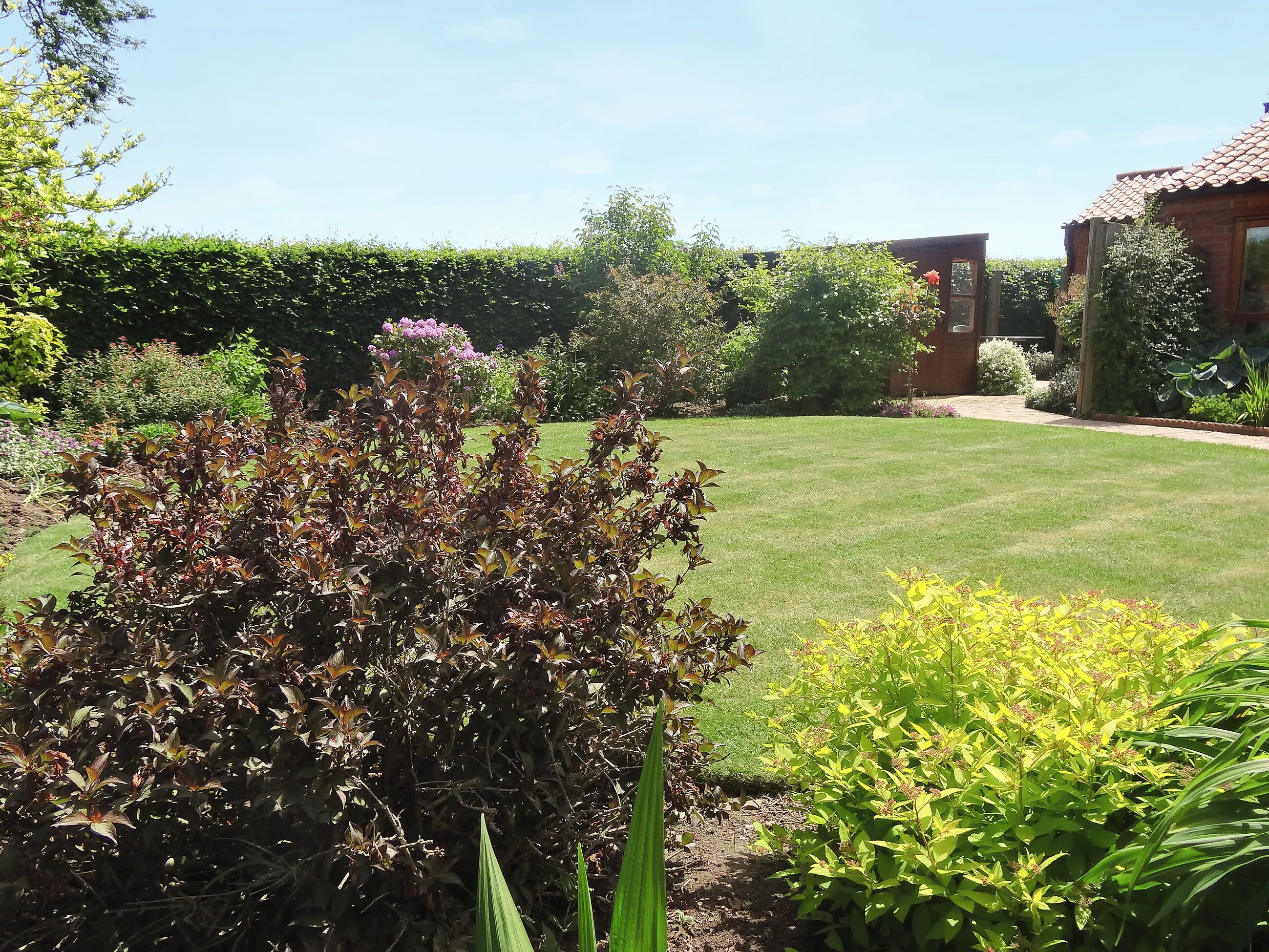 A well-maintained garden with a variety of plants and a neatly trimmed lawn.