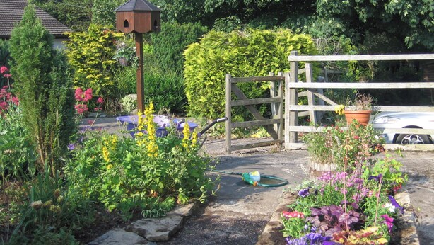 A garden with various plants and flowers, a wooden gate, and a birdhouse.
