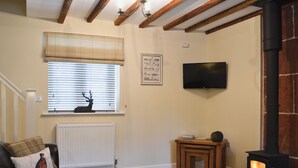 A cozy living room with a fireplace, a television, a window with blinds, and a radiator. - 2 bedroom accommodation in Myddle, near Shrewsbury (Myddle, near Shrewsbury)