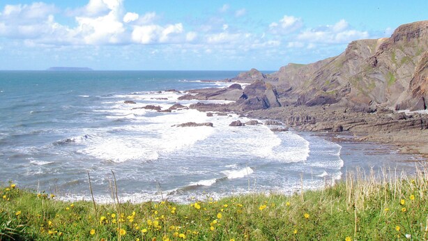 A coastal landscape with rocky cliffs, a grassy foreground with yellow flowers, and the ocean. - 3 bedroom accommodation in Hartland, near Bideford (Hartland, near Bideford)