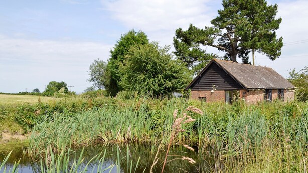 A rustic wooden cabin with a sloped roof, surrounded by lush greenery and a small pond. - 2 bedroom accommodation in Wadhurst, near Tunbridge Wells (Wadhurst, near Tunbridge Wells)