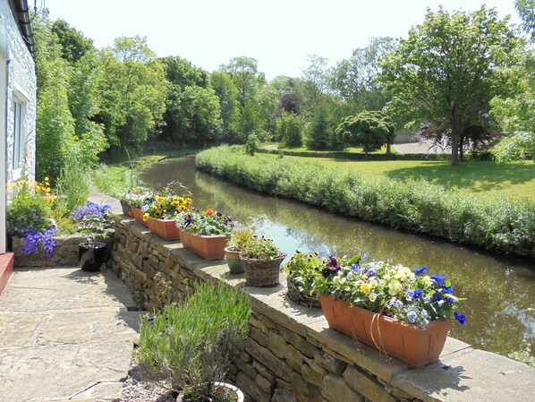 المنطقة المحيطة بالمنشأة