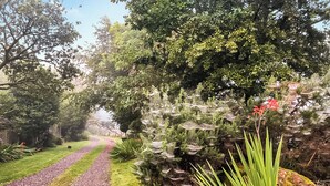 Ein Gartenpfad mit Kiesweg, grünem Gras und verschiedenen Pflanzen.