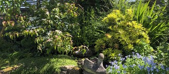 1 bedroom accommodation in Balfron, near Drymen Loch Lomond & The Trossachs