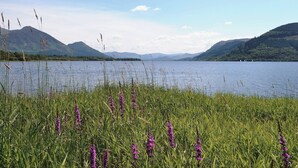 A lake with mountains in the background and purple flowers in the foreground.