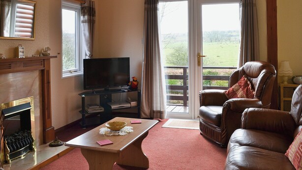 A living room with a fireplace, a television, a leather sofa, and a view of the outdoors.