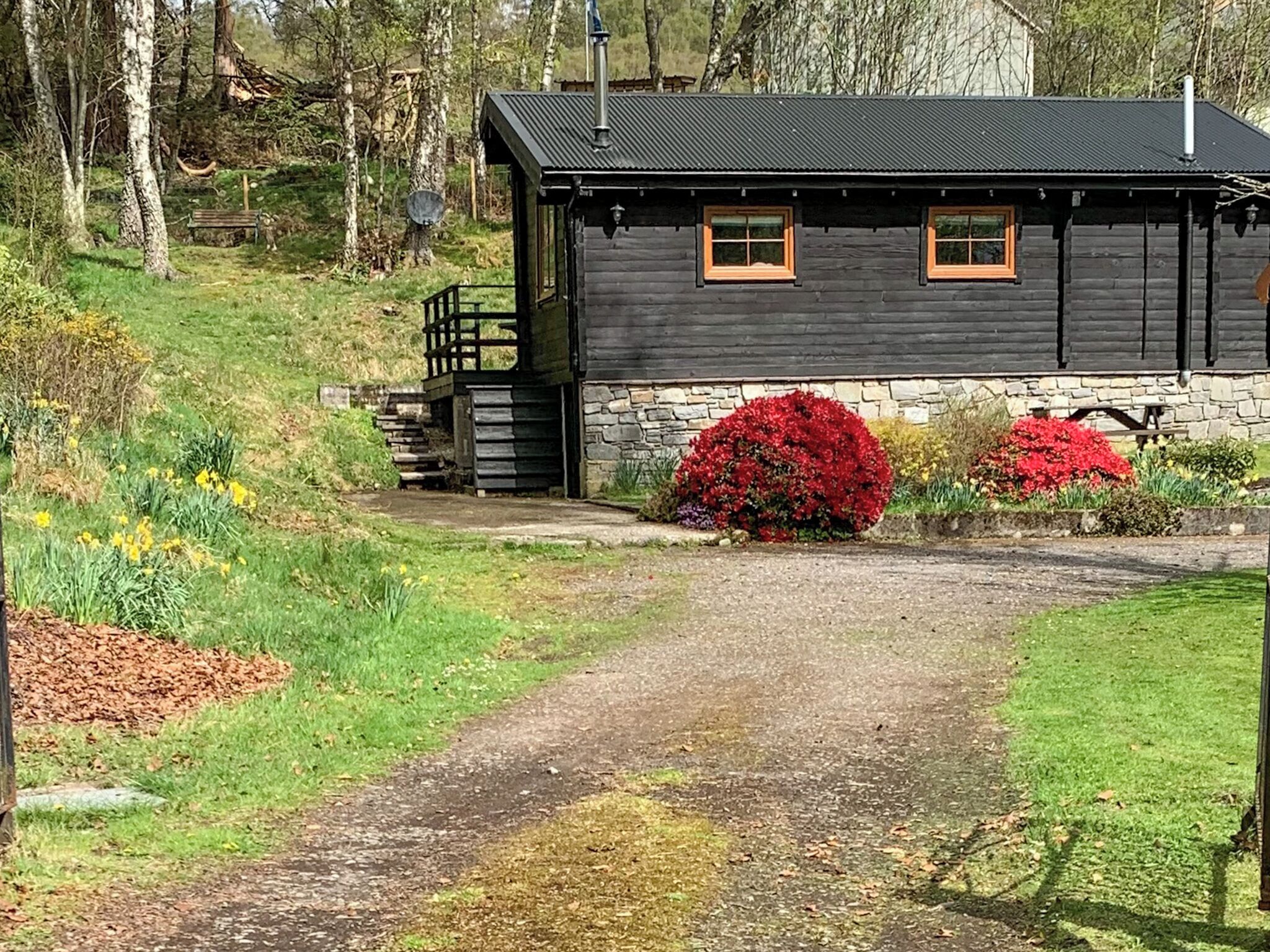 A wooden cabin with a stone foundation, a gravel driveway, and a red flower bush in front.