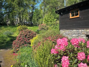 المنطقة المحيطة بالمنشأة