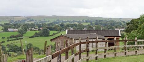 A rural landscape with a wooden fence, a building with a corrugated metal roof, and rolling green hills in the background.
