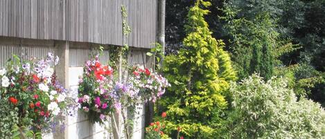 المنطقة المحيطة بالمنشأة