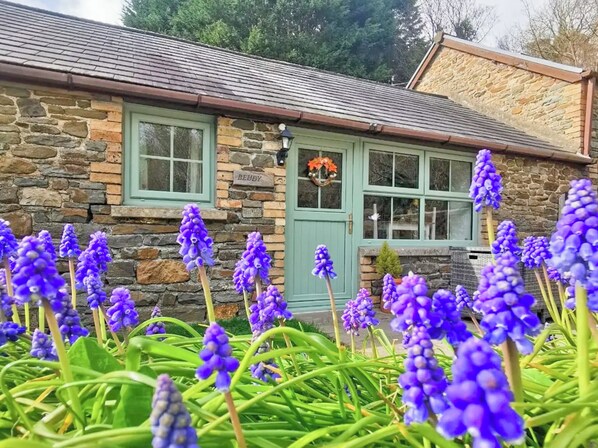 A stone building with a green door and windows, surrounded by purple flowers.