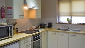 A modern kitchen with a microwave, stove, oven, and dishwasher. There is a sink, a window with a plant, and a fire extinguisher.