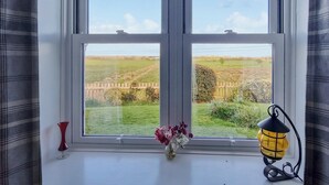 Une fenêtre donnant sur un paysage rural, un vase rempli de fleurs et une lanterne posée sur le rebord de la fenêtre.