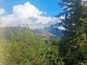 Unclassified image, 4 of 14, button