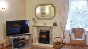 A living room with a television, fireplace, wicker chair, and a window with curtains.