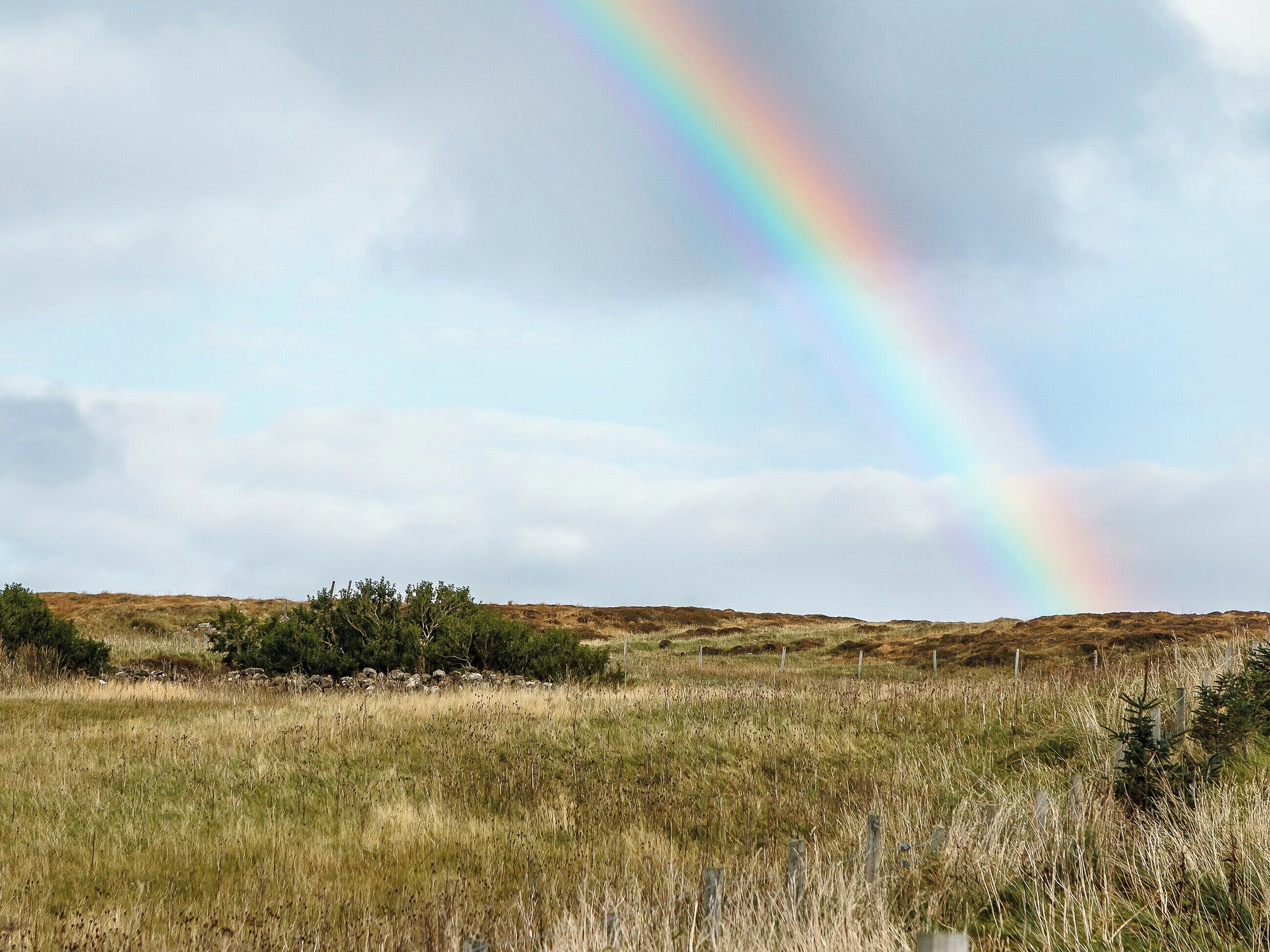 Ein grasbewachsenes Feld mit einem Regenbogen am Himmel.