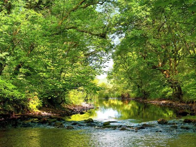 1 bedroom accommodation in Lendalfoot, Girvan