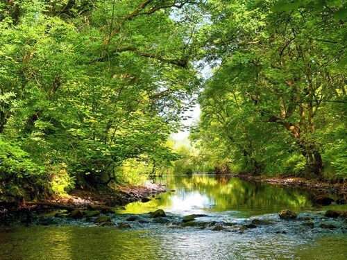 1 makuuhuoneen majoitus Lendalfoot, Girvan